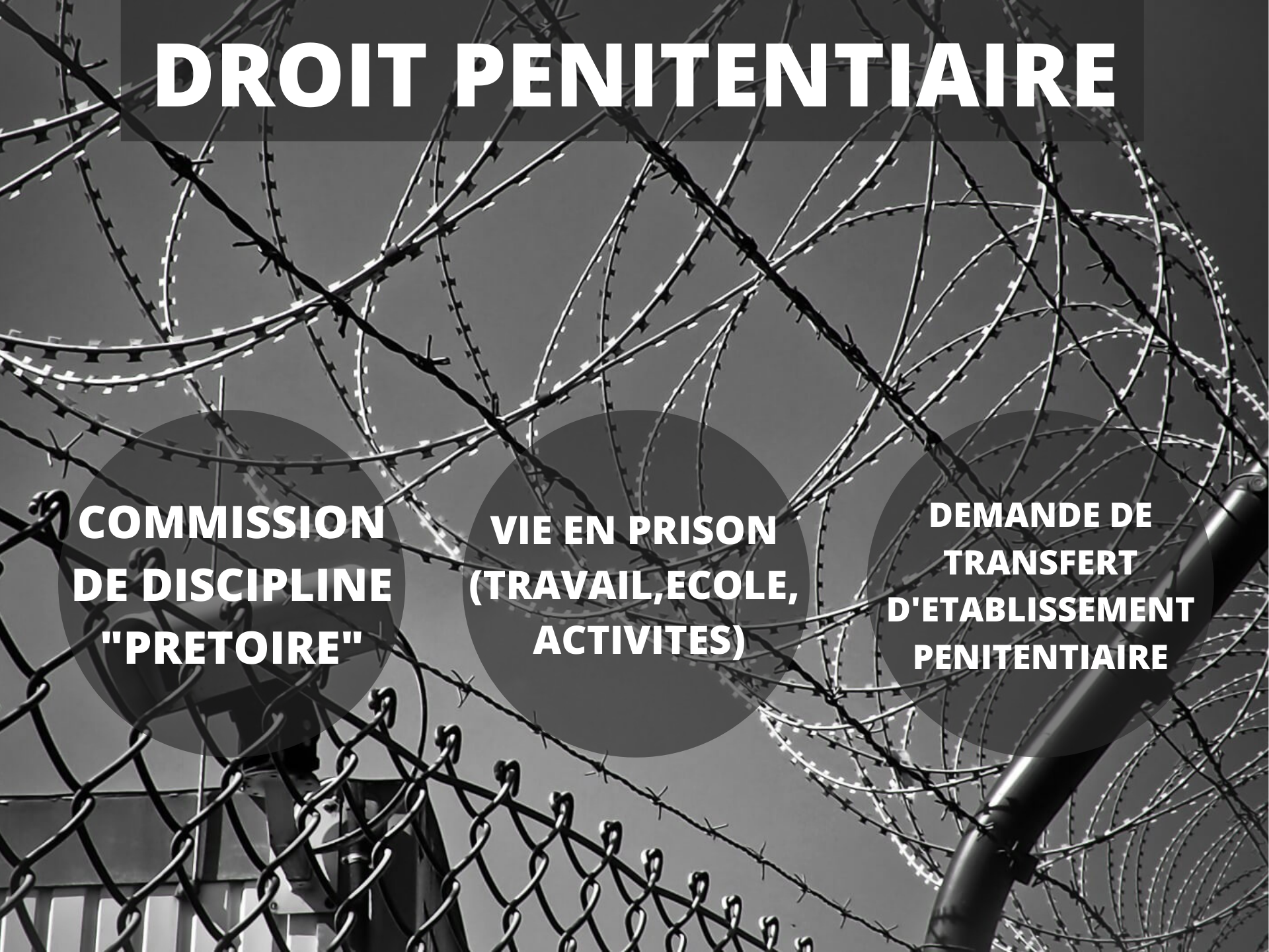 DROIT_PENITENTIAIRE